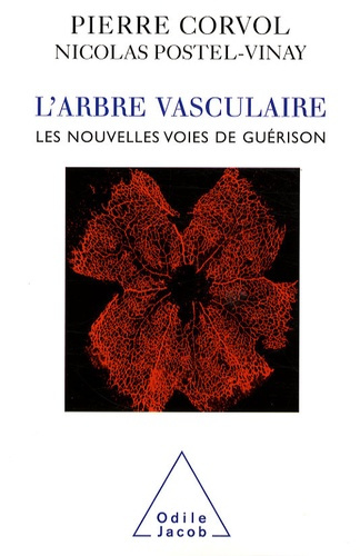 L'arbre vasculaire. Nouvelles voies de guérison