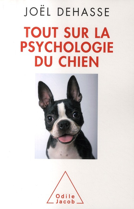 Tout sur la psychologie du chien