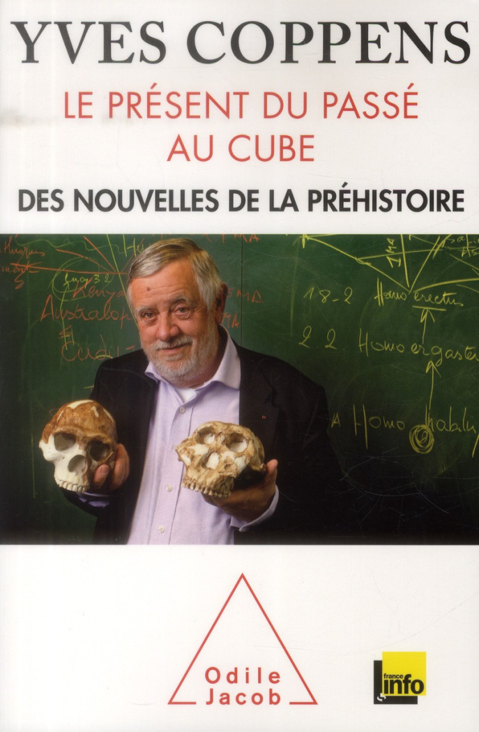 Le présent du passé au cube. Des nouvelles de la préhistoire