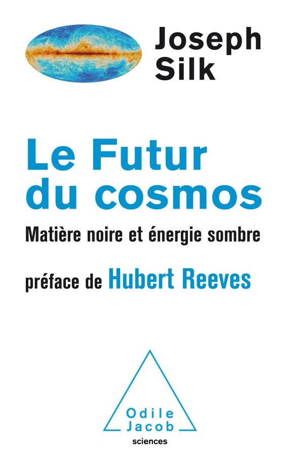 Le futur du cosmos. Matière noire et énergie sombre