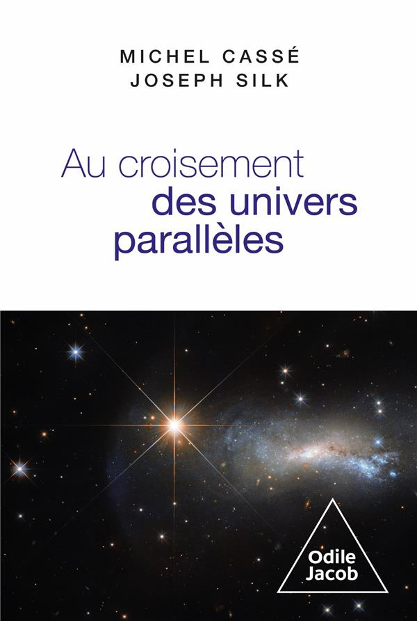 Au croisement des univers parallèles. Cosmologie et métacosmologie
