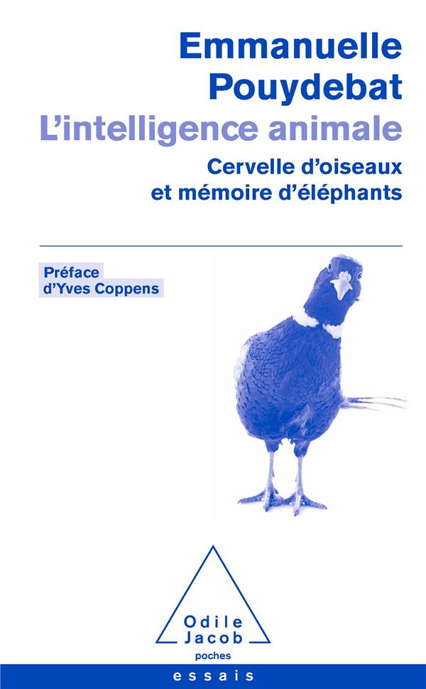 L'intelligence animale. Cervelle d'oiseaux et mémoire d'éléphants