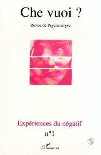 EXPERIENCES DU NEGATIF