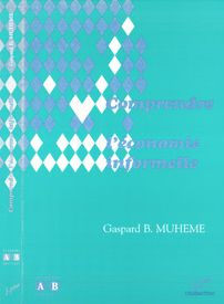 COMPRENDRE L'ECONOMIE INFORMELLE