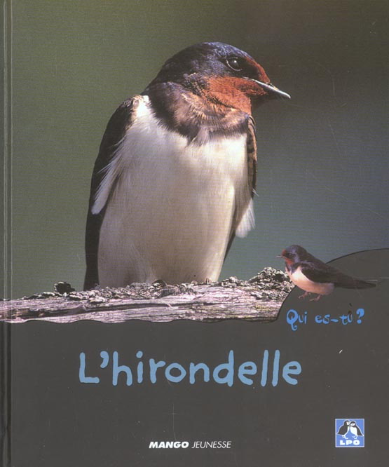 L'hirondelle