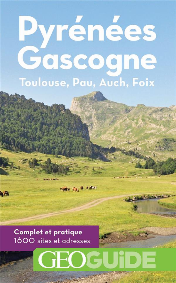 Pyrénées Gascogne. Toulouse, Pau, Auch, Foix, 7e édition