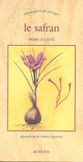 Le safran