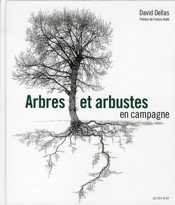 Arbres et arbustes en campagne