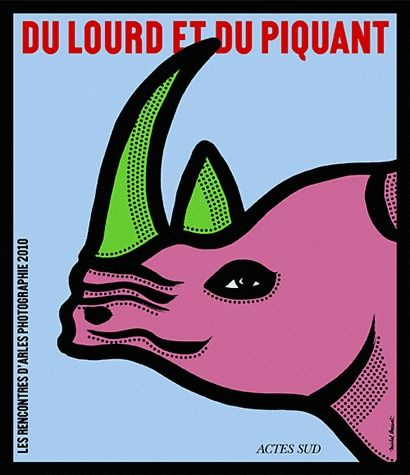 Les rencontres d'Arles photographie 2010. Du lourd et du piquant, 41e édition