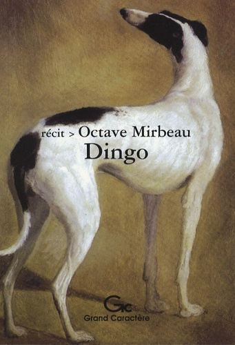 DINGO