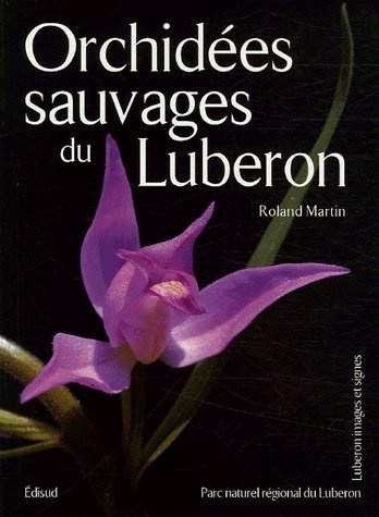 ORCHIDEES SAUVAGES DU LUBERON