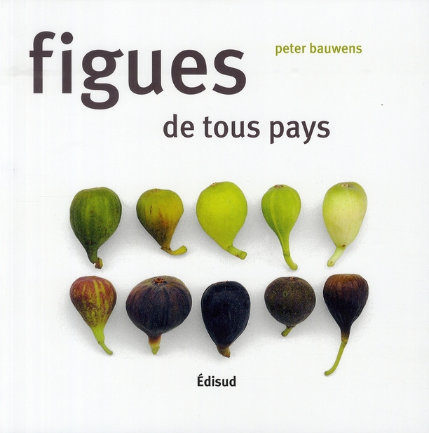 FIGUES DE TOUS PAYS