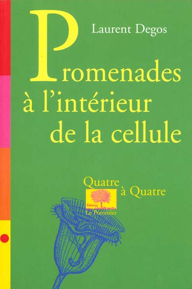 Promenades à l'intérieur de la cellule