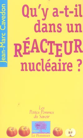 Qu'y a-t-il dans un réacteur nucléaire ?