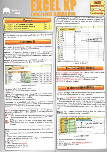 Excel XP. Fonctions avancées