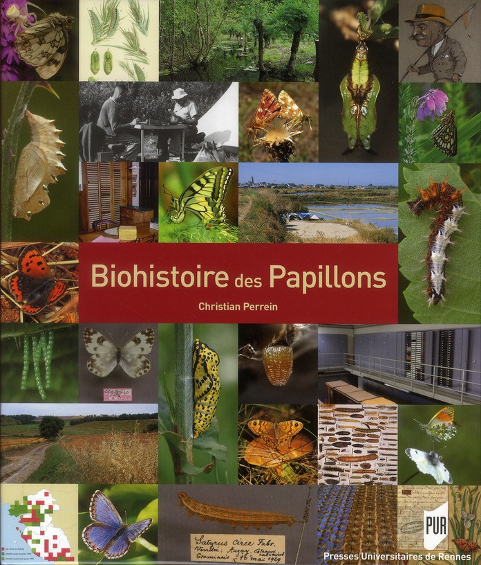 Biohistoire des papillons. Diversité et conservation des lépidoptères rhopalocères en Loire-Atlantiq