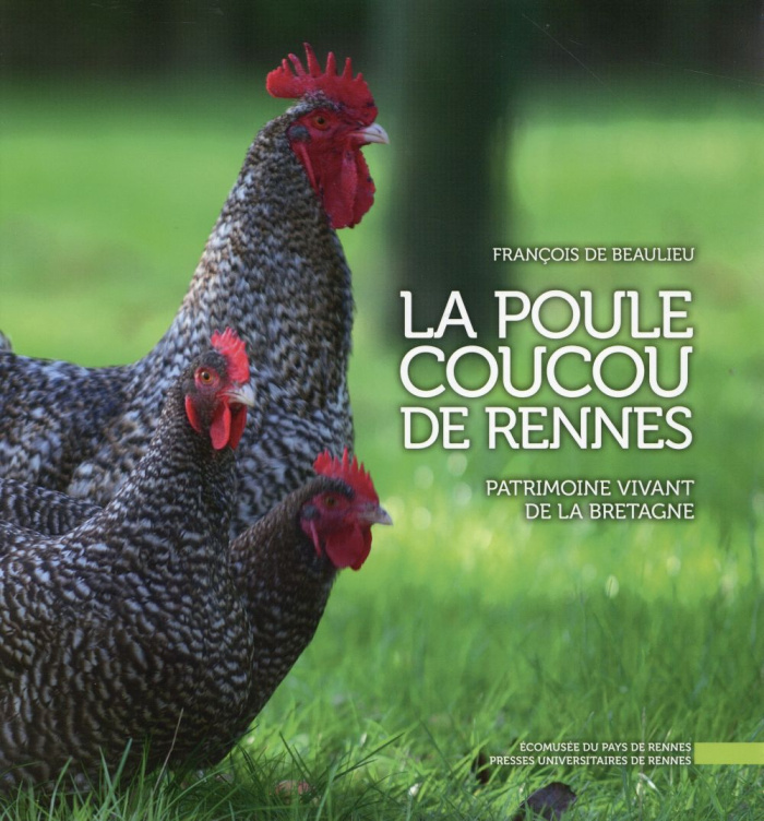 La poule coucou de Rennes. Patrimoine vivant de la Bretagne