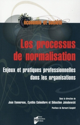 Le processus de normalisation. Enjeux et pratiques professionnelles dans les organisations
