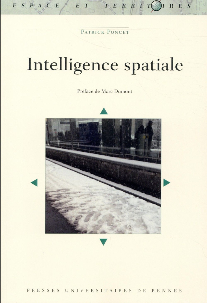 Intelligence spatiale