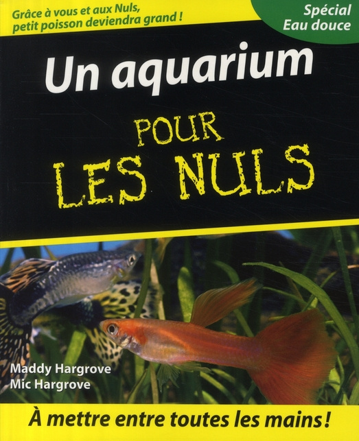 Un aquarium pour les nuls