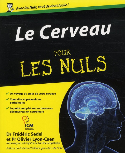 Le Cerveau pour les nuls
