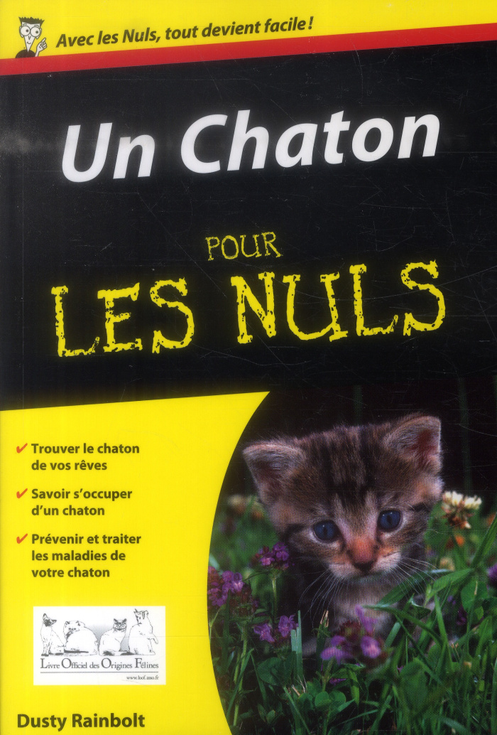 Un chaton pour les nuls