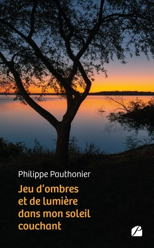 Jeu d'ombres et de lumière dans mon soleil couchant