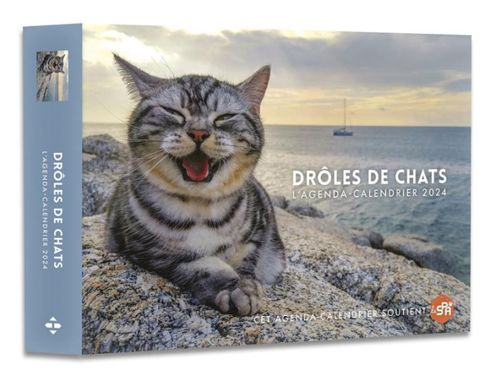 L'agenda-calendrier Drôles de chats. Edition 2024
