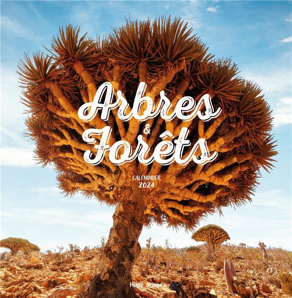 Calendrier mural Arbres et forêts