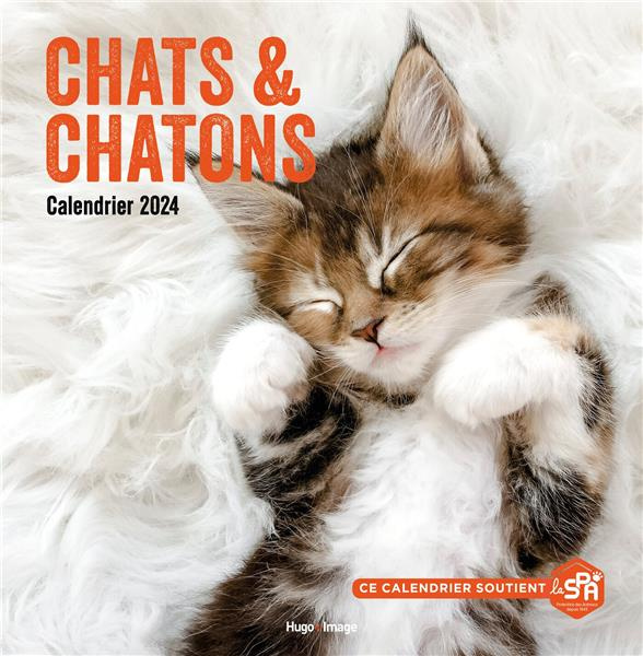 Calendrier Chats & chatons. Edition 2024