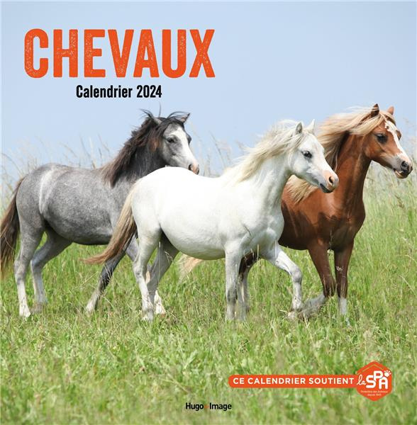 Calendrier Chevaux. Edition 2024