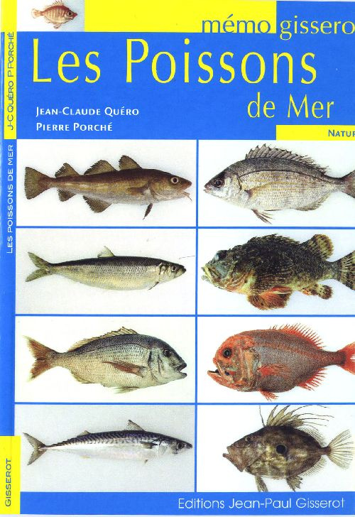 MEMO - LES POISSONS DE MER