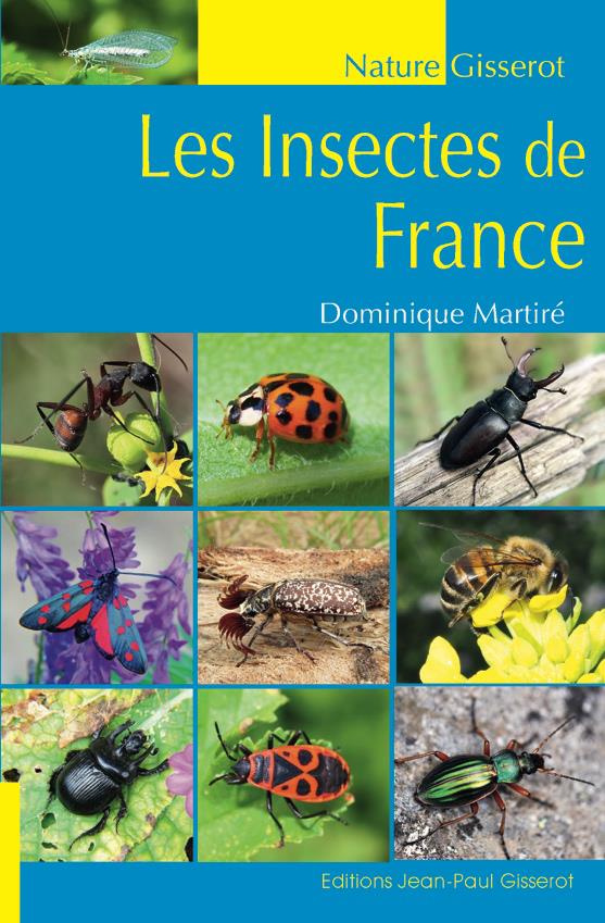 Insectes de France