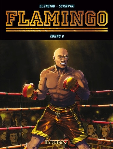 Flamingo Tome 3 : Le Dernier Légionnaire