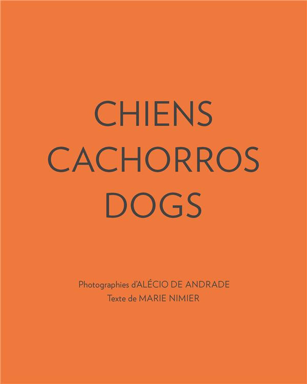 Chiens cachorros dogs