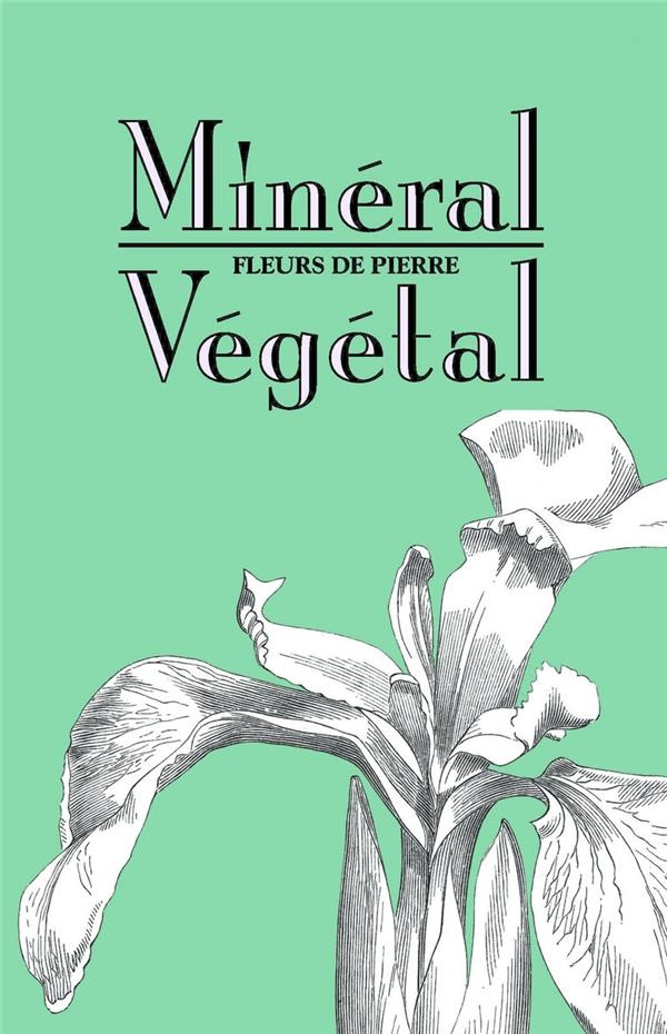 Minéral-Végétal. Fleurs de pierre