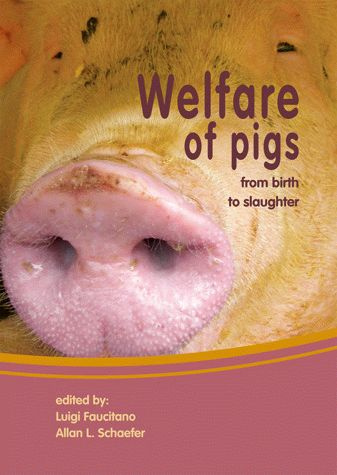 WELFARE OF PIGS, FROM BIRTH TO SLAUGHTER