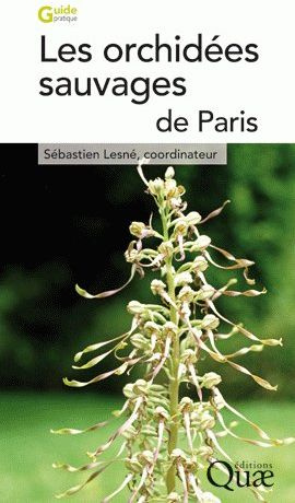 LES ORCHIDEES SAUVAGES DE PARIS