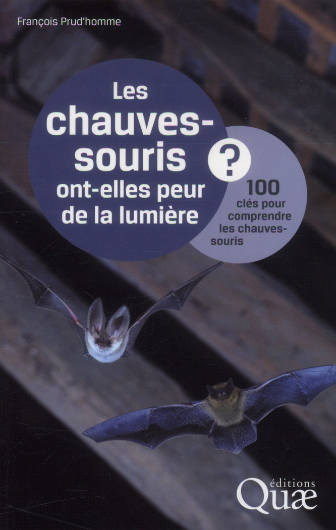Les chauves-souris ont-elles peur de la lumière ? / 100 clés pour comprendre les chauves-souris