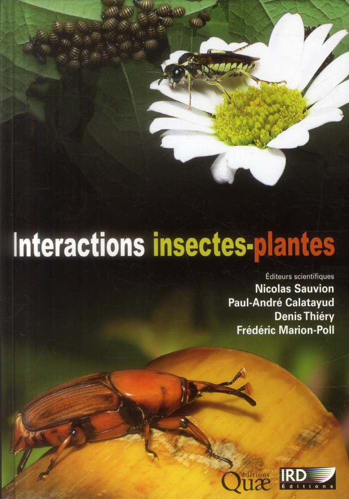 Interactions insectes-plantes