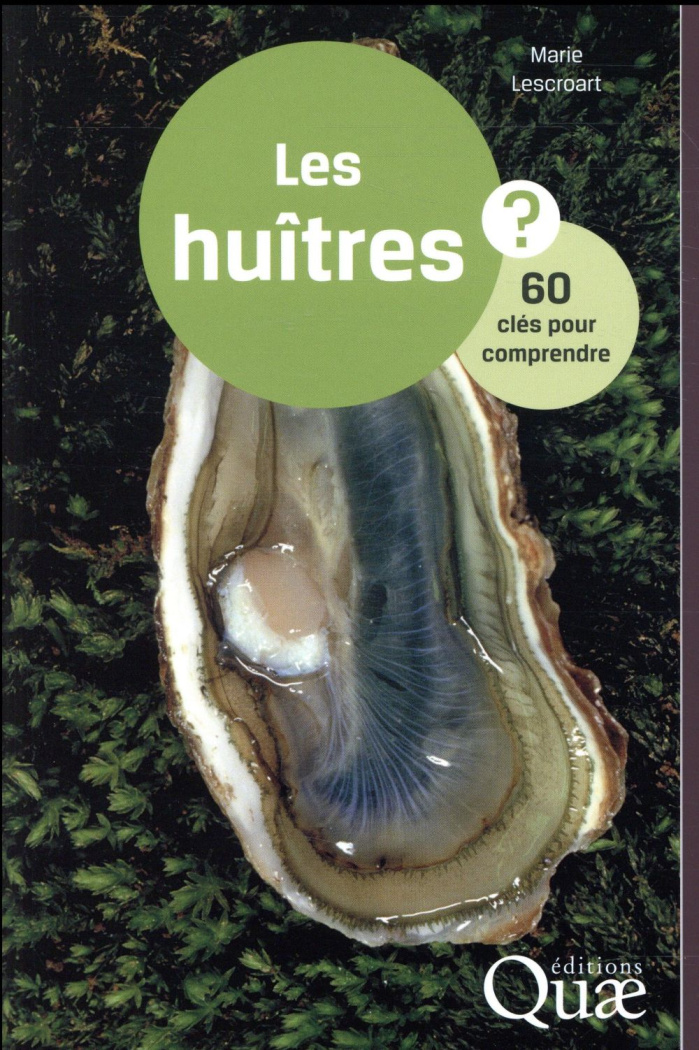 Les huitres - 60 clés pour comprendre