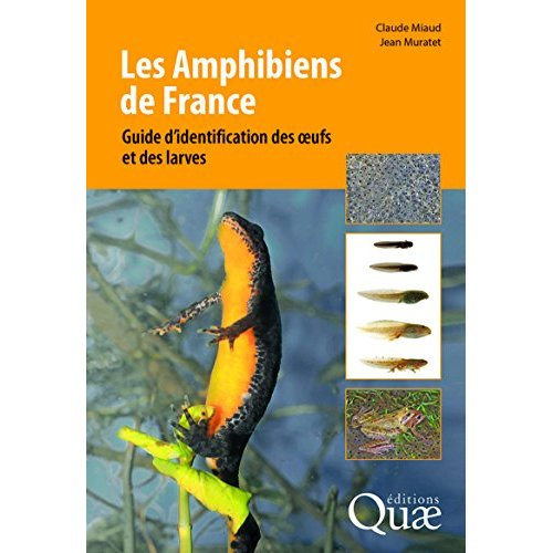Les amphibiens de France / Guide d'identification des oeufs et des larves