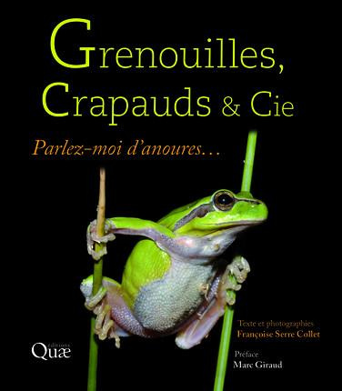 Grenouilles, crapauds et cie