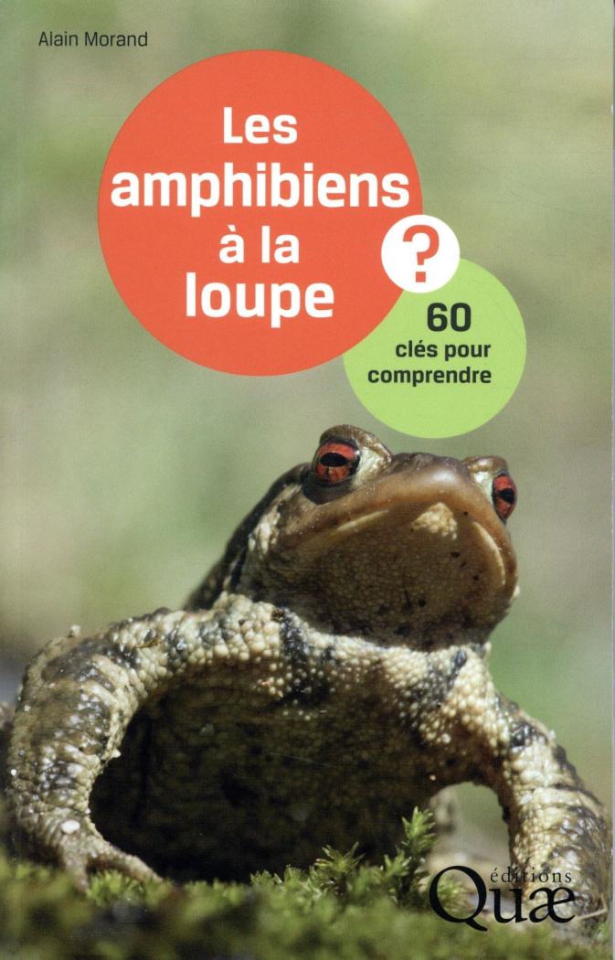 Les amphibiens à la loupe / 60 clés pour comprendre
