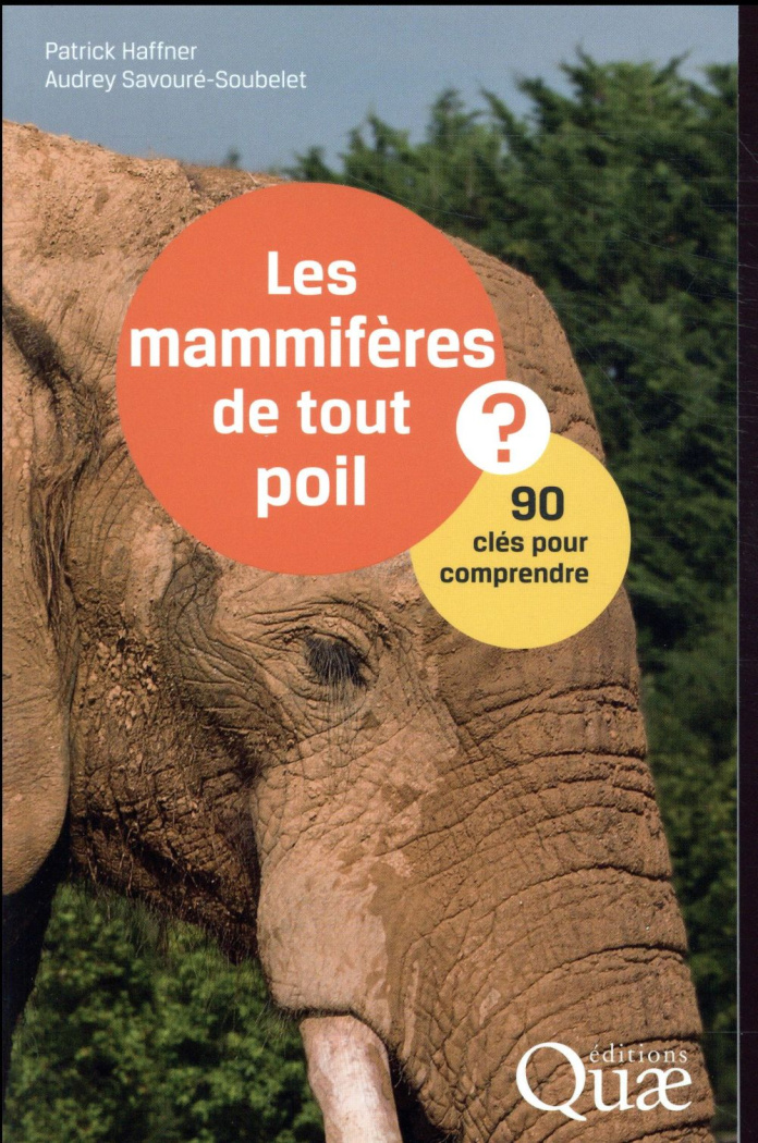 Les mammifères de tout poil