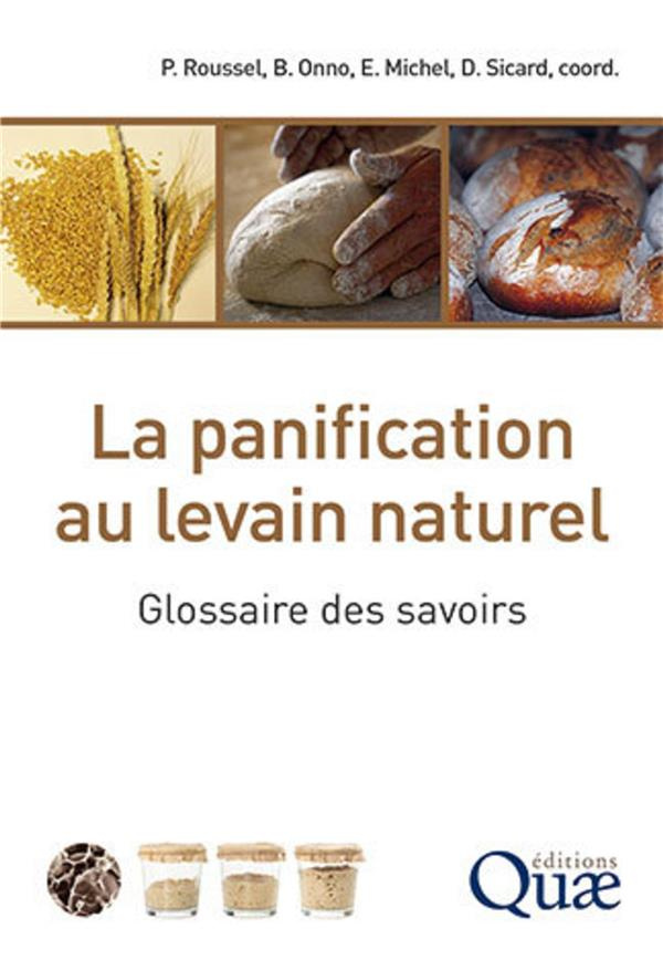 La panification au levain naturel : glossaire des savoirs