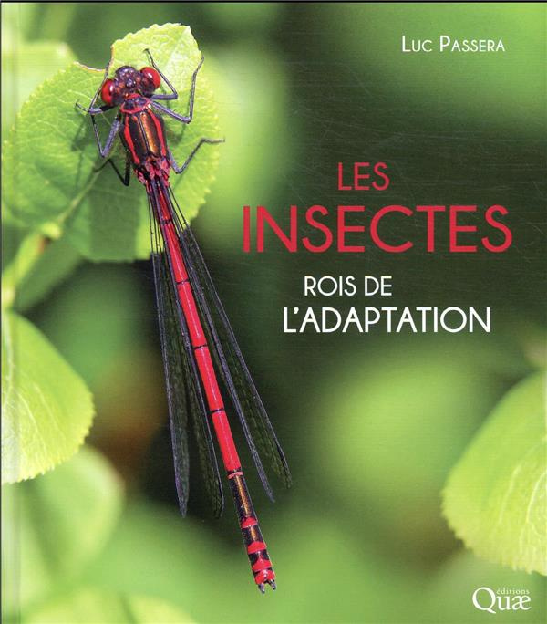 Les insectes : rois de l'adaptation