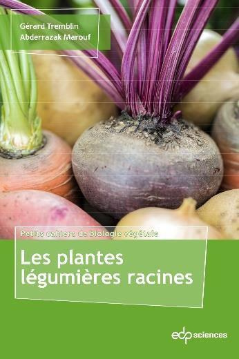 LES PLANTES LEGUMIERES RACINES