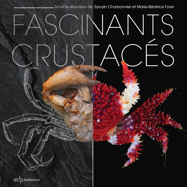 FASCINANTS CRUSTACES