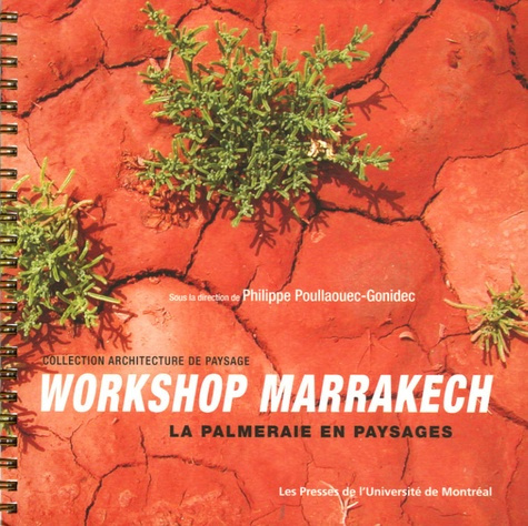 Workshop Marrakech. La palmeraie en paysages